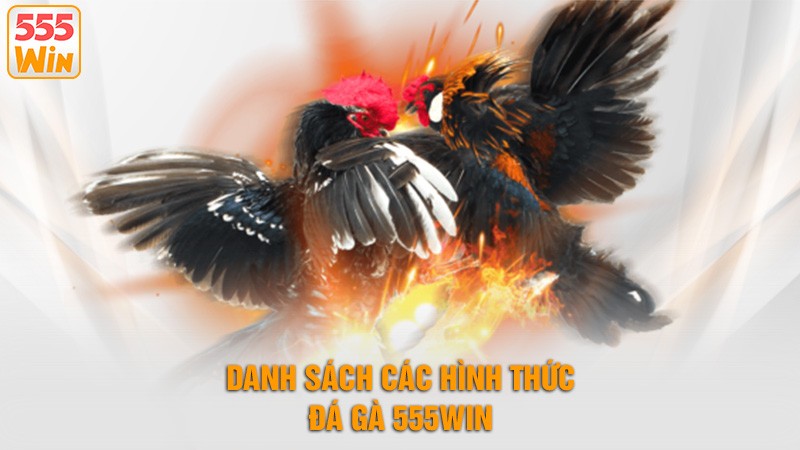 Danh sách các hình thức đá gà 555win Danh sách các hình thức đá gà 555win