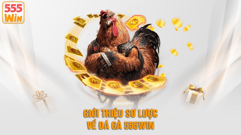 Giới thiệu sơ lược về đá gà 555win Giới thiệu sơ lược về đá gà 555win